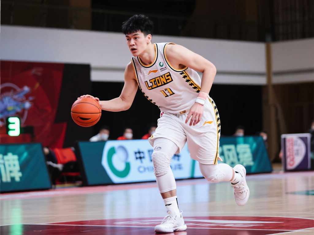 参赛国家数 参赛国家数